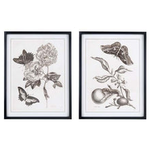 Carica l&#39;immagine nel visualizzatore di Gallery, SET 2 QUADRO ASS.
