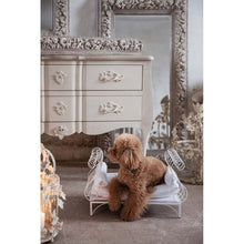 Carica l&#39;immagine nel visualizzatore di Gallery, LETTINO PER CANI CON CUSCINO
