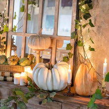 Carica l'immagine nel visualizzatore di Gallery, Zucca in resina
