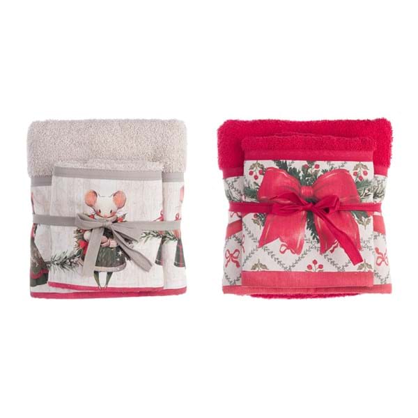 COPPIA SPUGNA ASSORTITA 40X60-60X100 420GSM