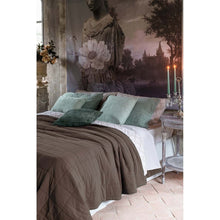 Carica l&#39;immagine nel visualizzatore di Gallery, TRAPUNTA STONE WASHED 250GSM

