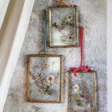 Carica l'immagine nel visualizzatore di Gallery, Cornici Fiori Pressati Dorato 11×30
