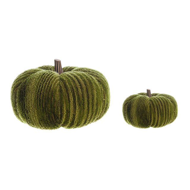 Coppia zucche